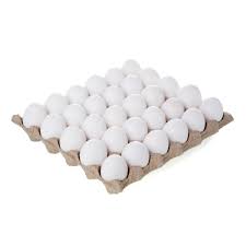 Egg Tray